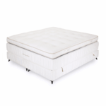 Pack Especial Divinity